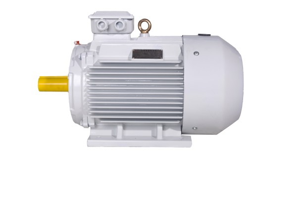 TYP系列超高效永磁變頻電動(dòng)機(jī) TYP系列超高效永磁變頻電動(dòng)機(jī)