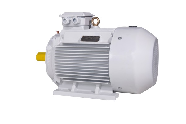 YE4(IE4)系列三相異步電動(dòng)機(jī) YE4(IE4)系列三相異步電動(dòng)機(jī)